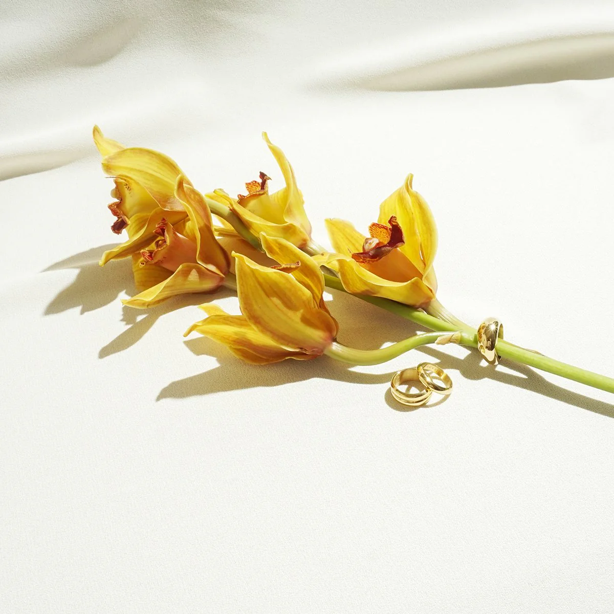 Cable Link Bracelet - Image 9