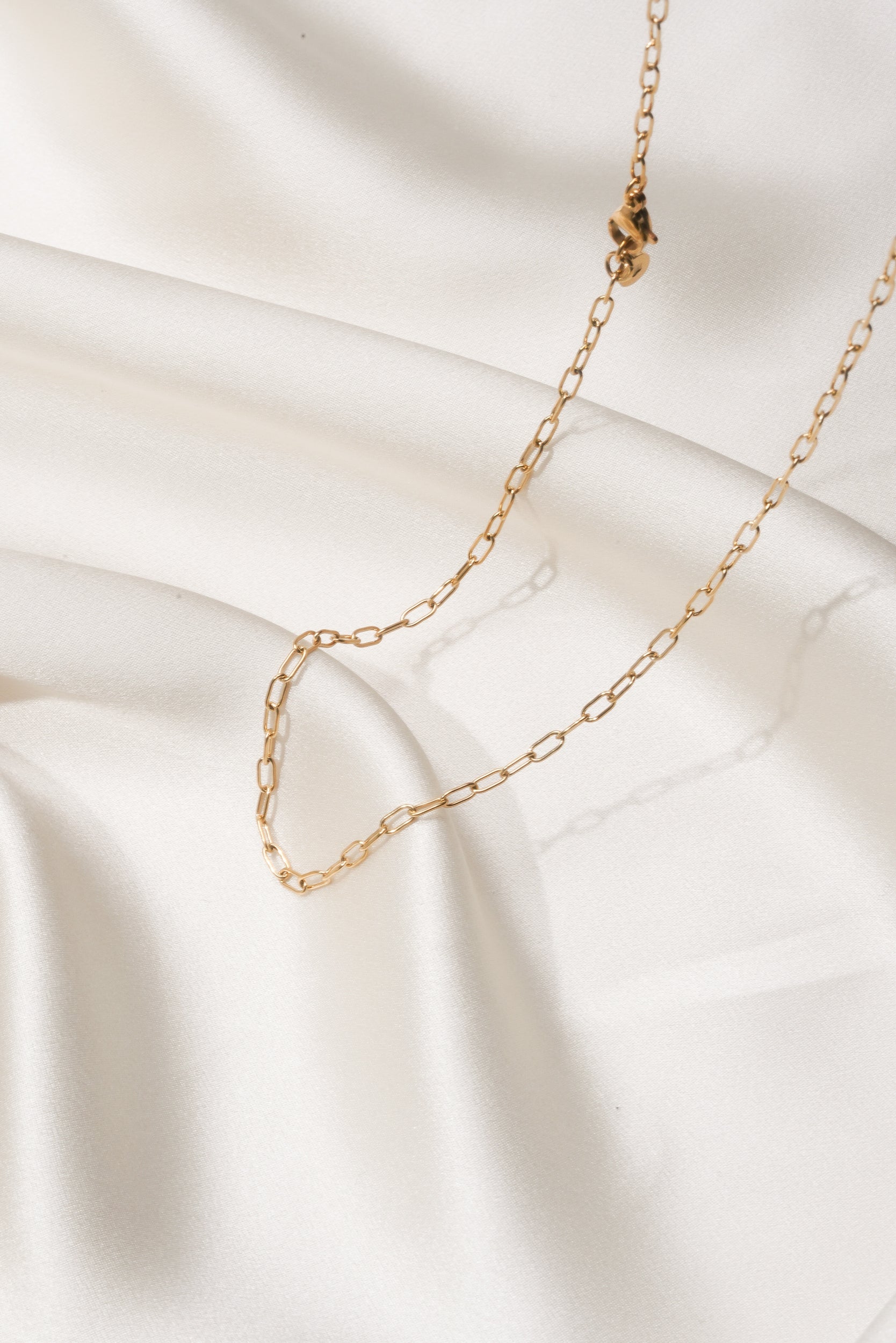 Ovoid Chain - Hypoallergenic Steel - Image 13